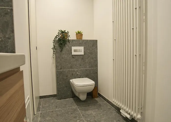 Goethe-suites: Premium 4 Person Centre Apartman Worms